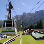 Alpennelke