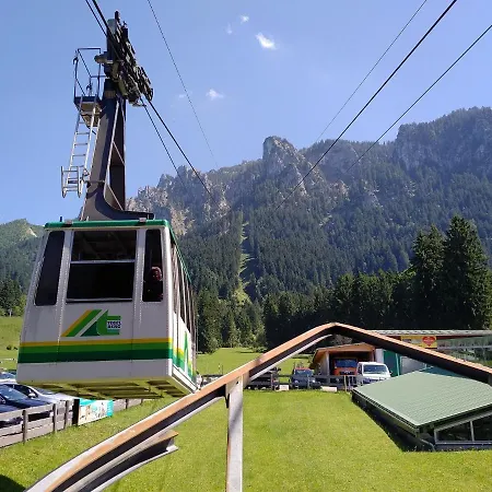 Alpennelke