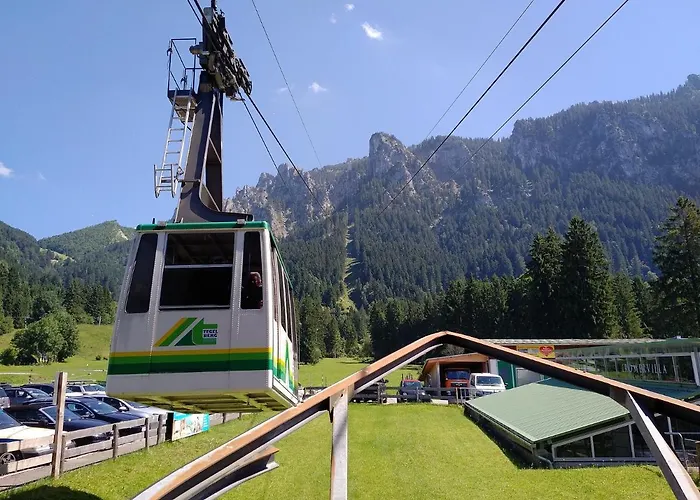 Alpennelke